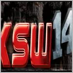 The best KSW 14 fight, knockout & submission contest results