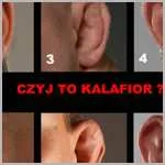 Quiz: Czyj to kalafior?