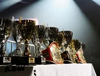 KSW17 - Zemsta: bonusy