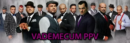 KSW41: VADEMECUM PPV