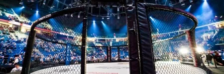 Media o KSW – styczeń