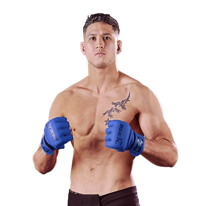 Gino Van Steenis