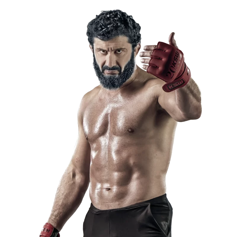 Mamed Chalidow