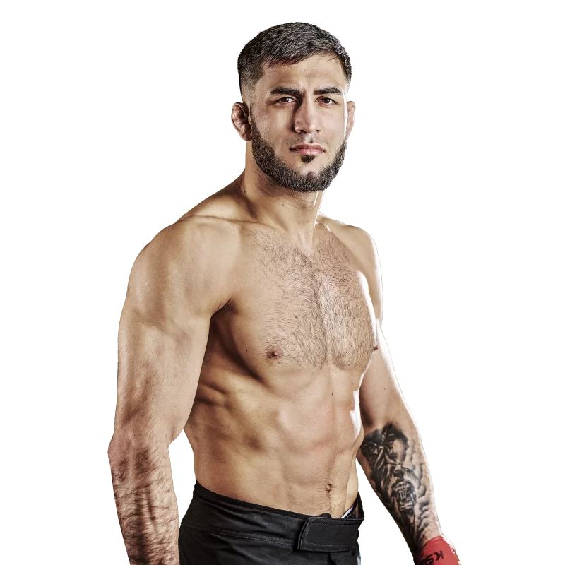 Valeriu Mircea