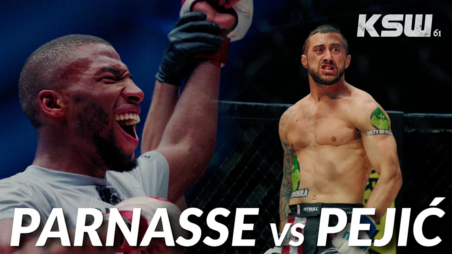 KSW 61: Parnasse vs. Pejic Preview